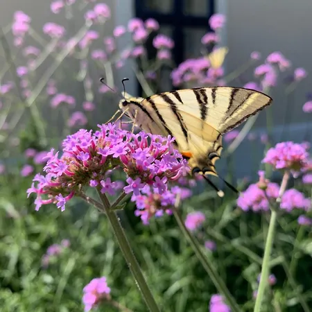 Kastiel Bed & Breakfast Nana