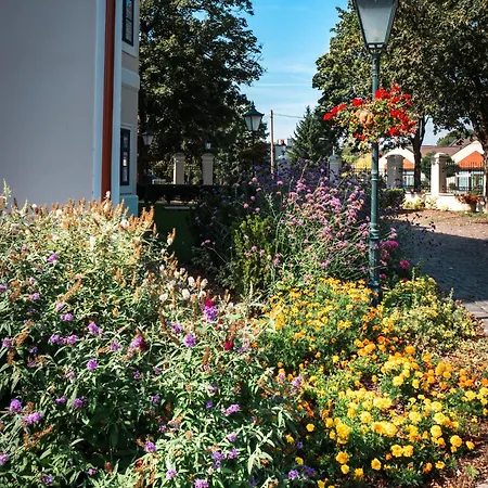 Kastiel Bed & Breakfast Nana